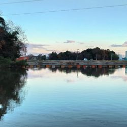ちょっと渋いけど釣れたぞ！ 大安トラウトレイク